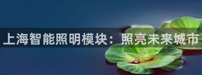 云顶国际官方网站下载