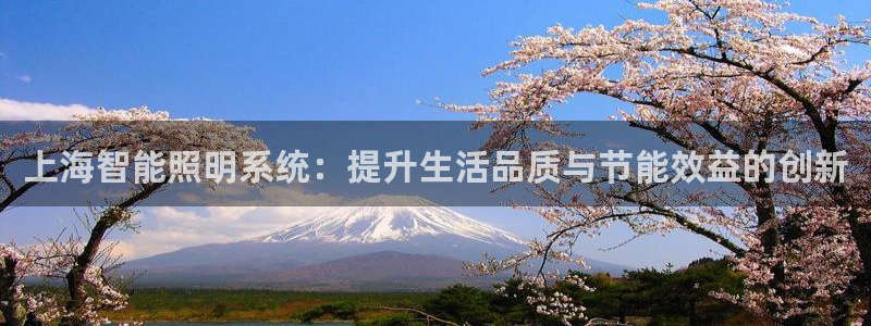 云顶电子游戏平台