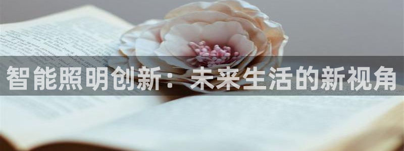 云顶国际酒店老板是谁